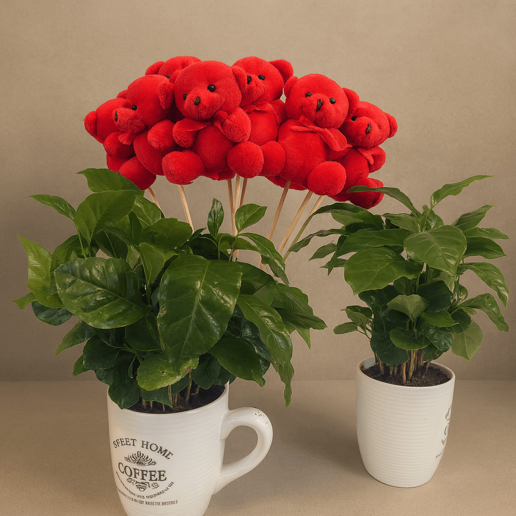 kwiaciarnia bydgoszcz