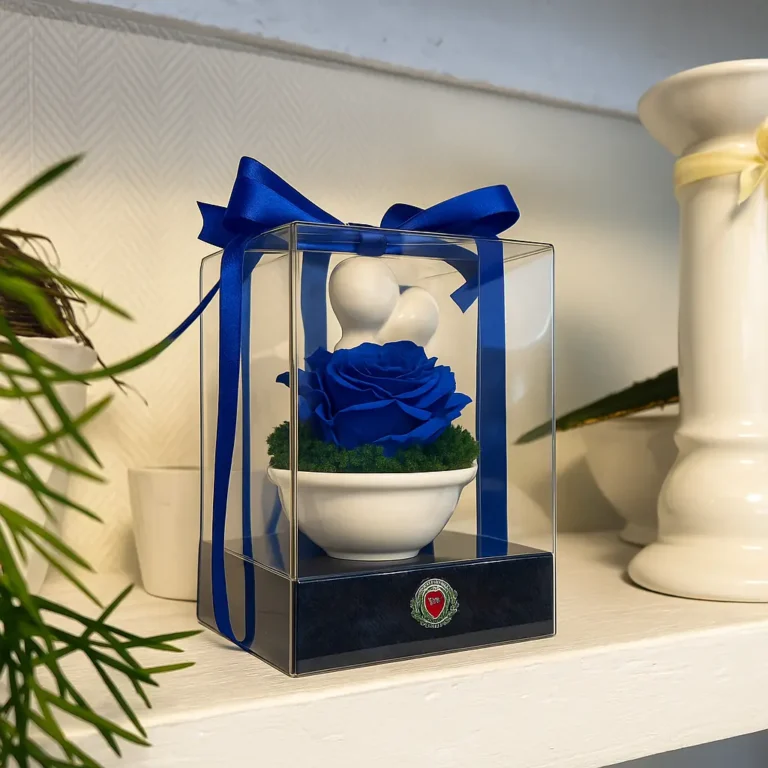 róża wieczna kolor niebieski